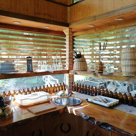 Villa Brisas Del Llaima Melipeuco Esterno foto