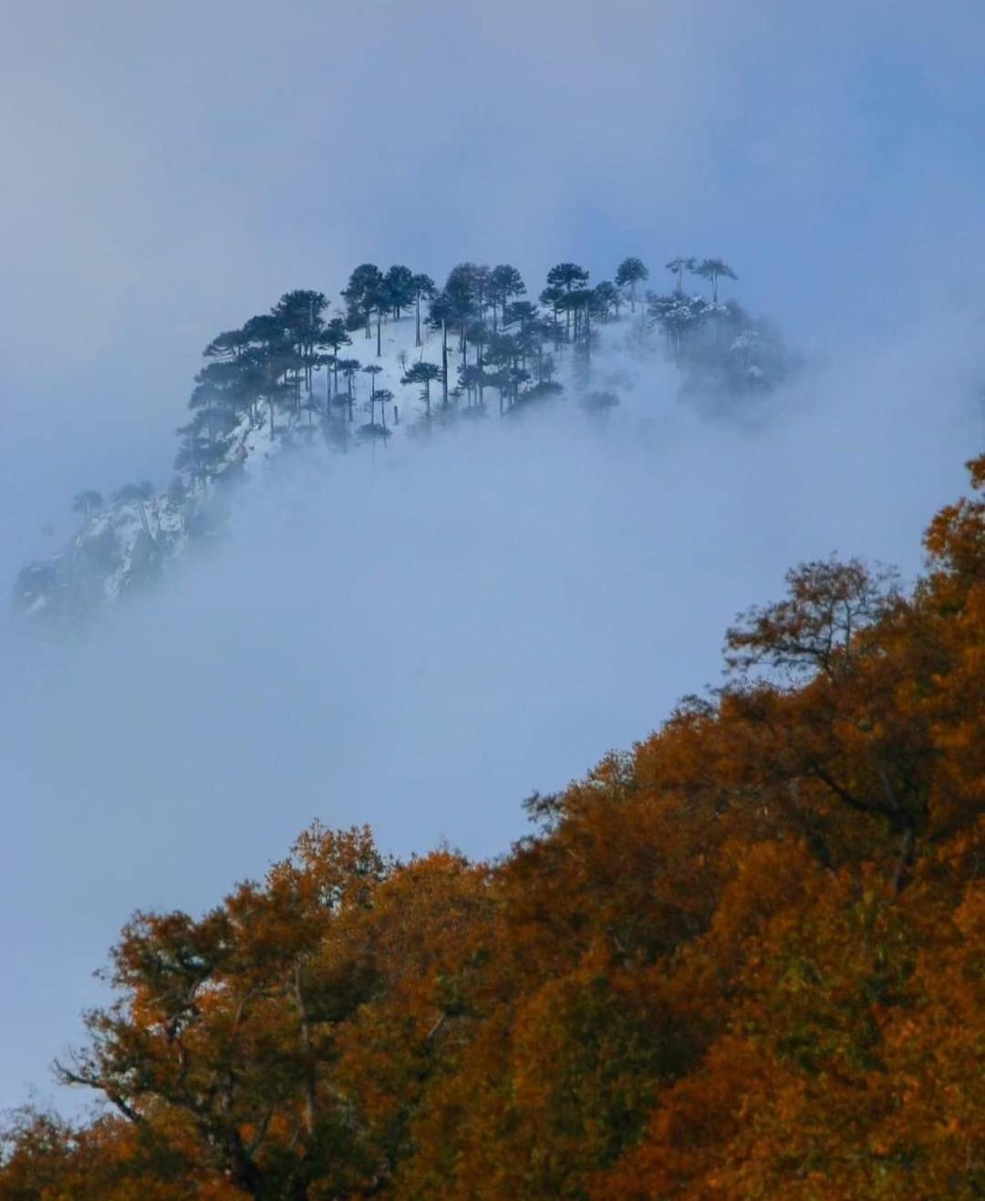 Villa Brisas Del Llaima Melipeuco Esterno foto