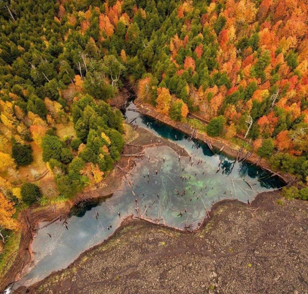 Villa Brisas Del Llaima Melipeuco Esterno foto