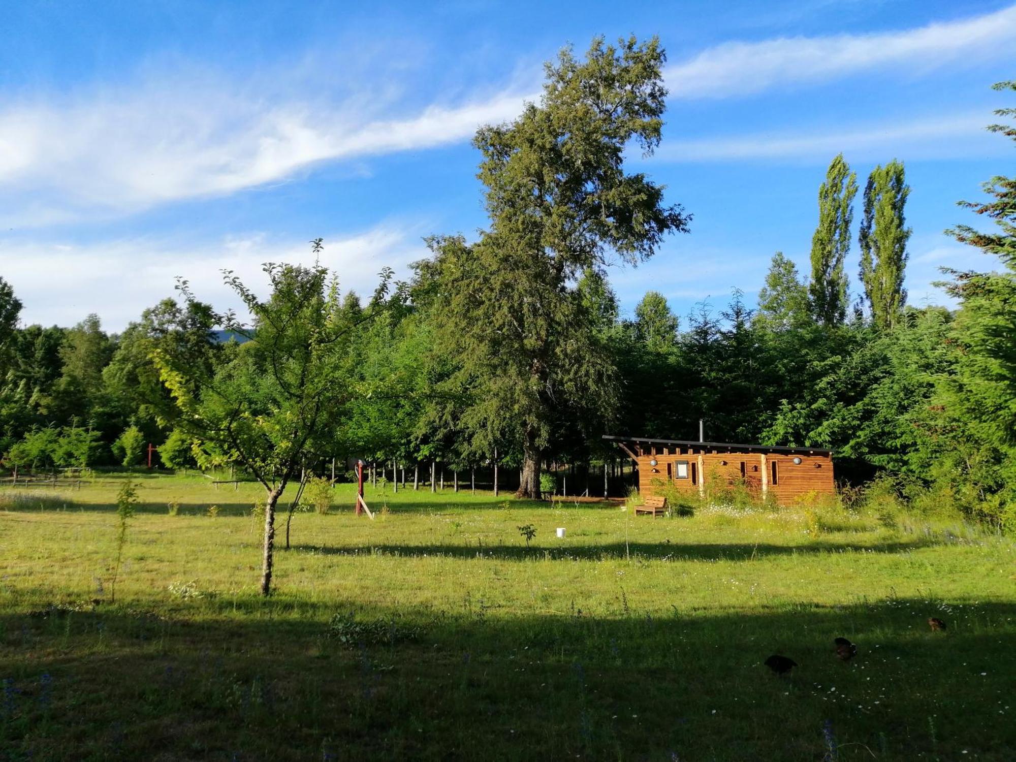 Villa Brisas Del Llaima Melipeuco Esterno foto